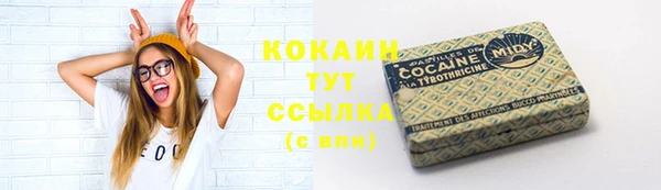 сатива Михайлов