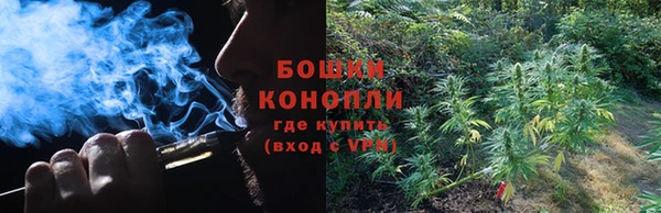 каннабис Алексеевка